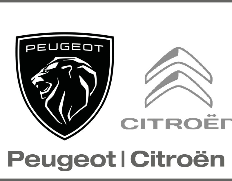 Peugeot/ Citroen Workshop Equipment