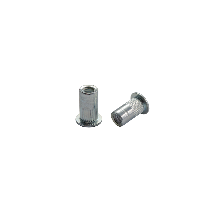 W&S Blind Rivet Nuts Steel M4 6 x 11 (777203)